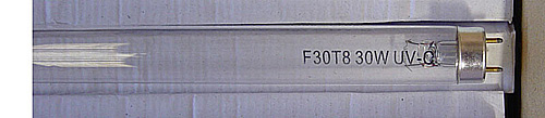   F30T8